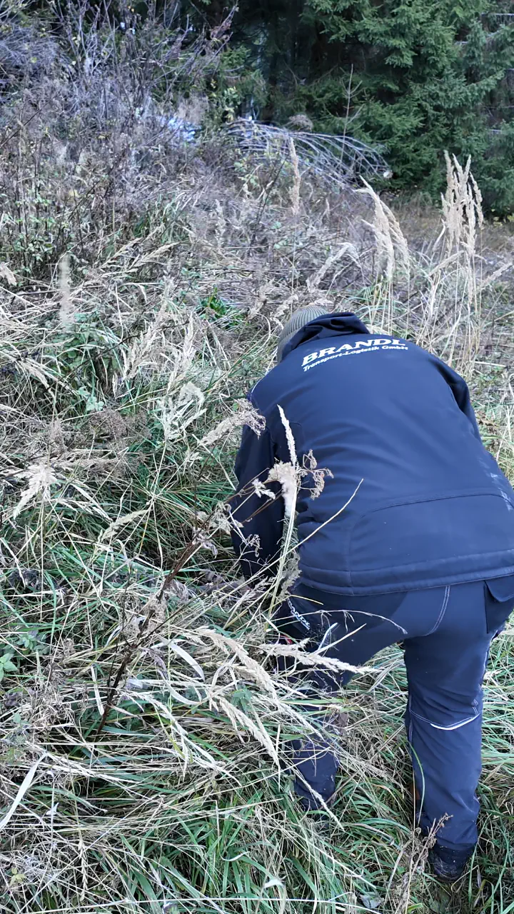 Baumpflanz-Challenge bei Brandl Transport-Logistik GmbH
