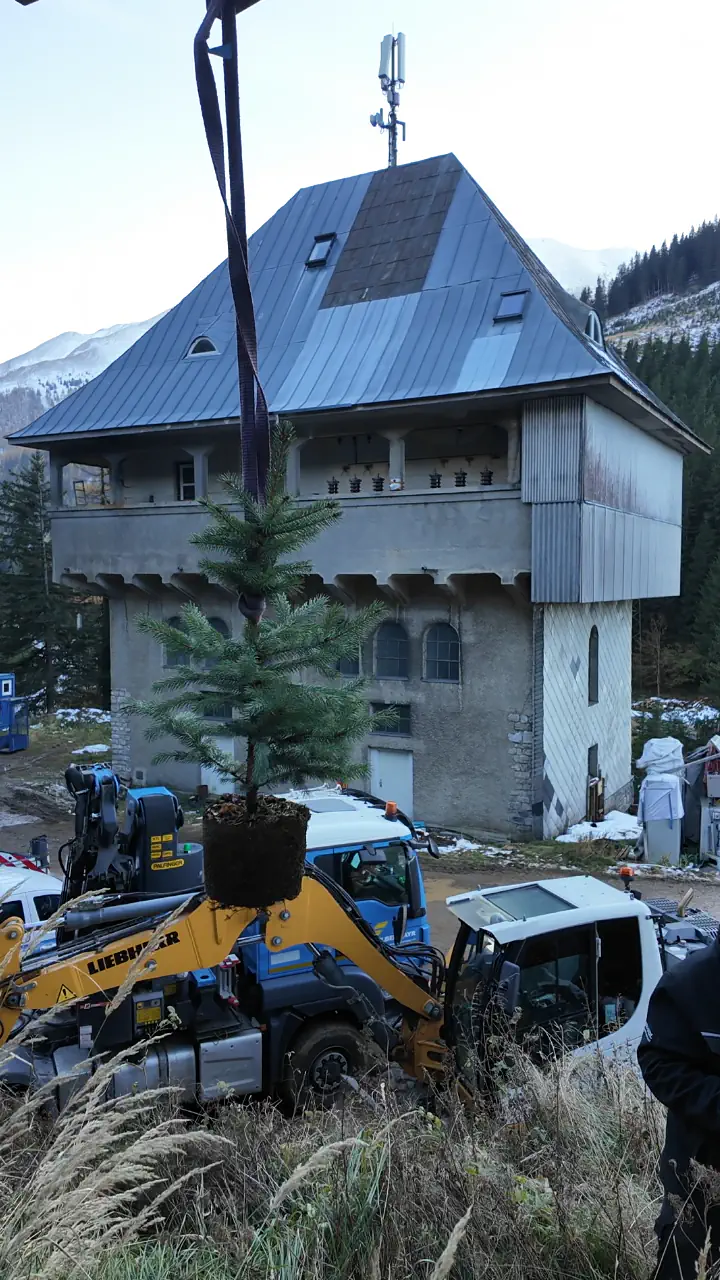 Baumpflanz-Challenge bei Brandl Transport-Logistik GmbH