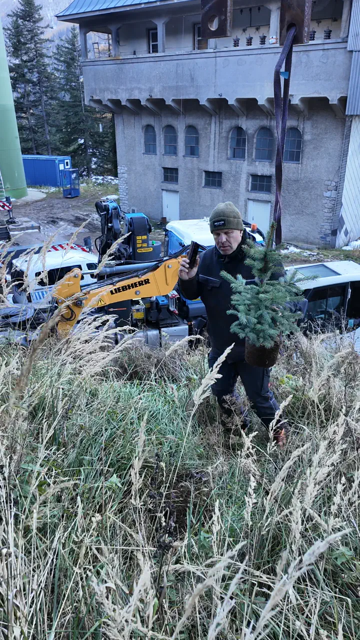 Baumpflanz-Challenge bei Brandl Transport-Logistik GmbH
