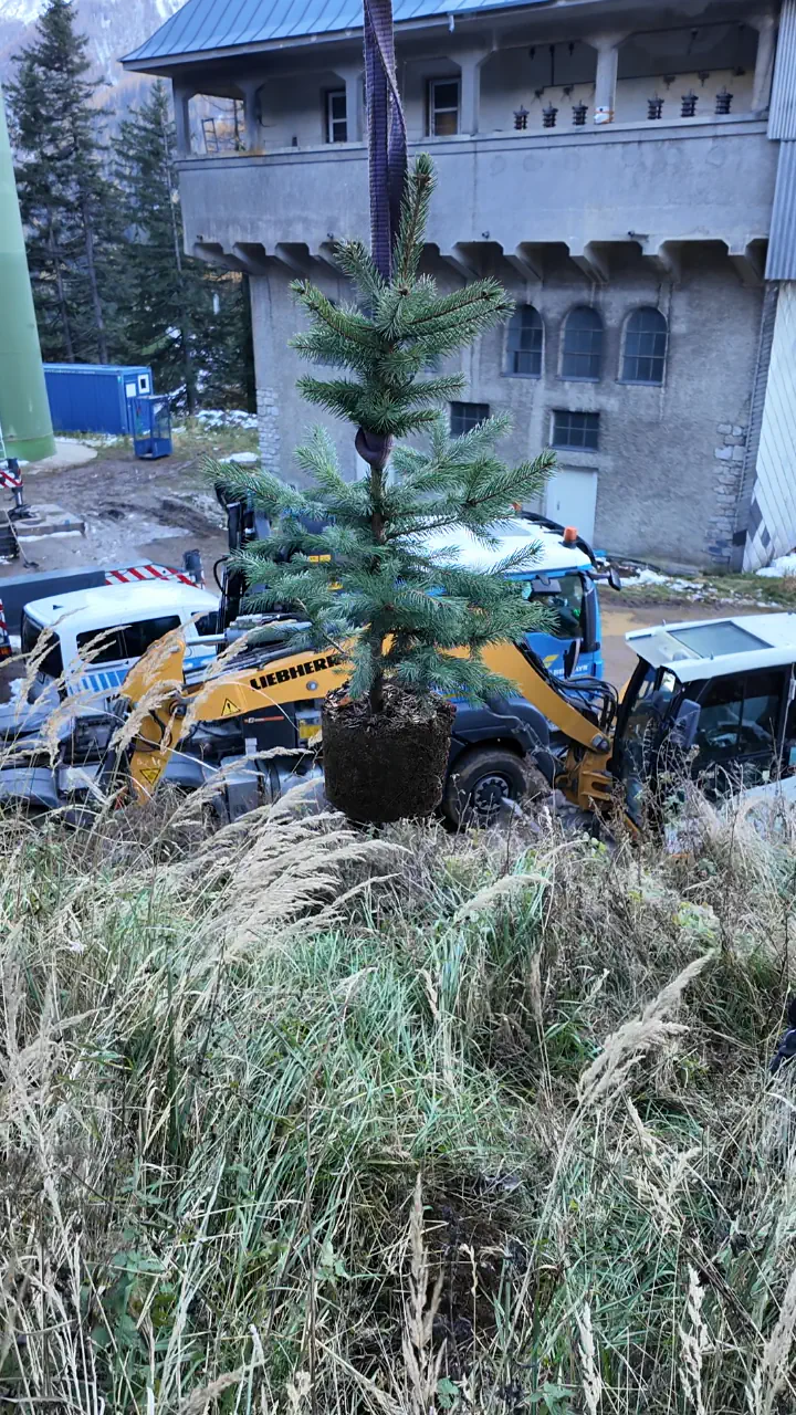 Baumpflanz-Challenge bei Brandl Transport-Logistik GmbH