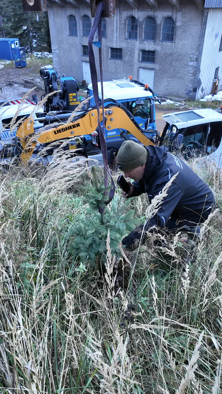 Baumpflanz-Challenge bei Brandl Transport-Logistik GmbH