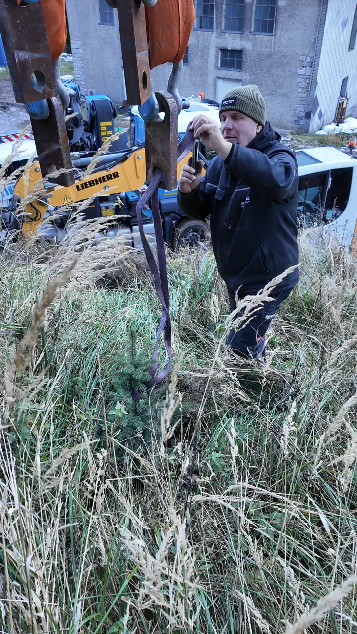 Baumpflanz-Challenge bei Brandl Transport-Logistik GmbH