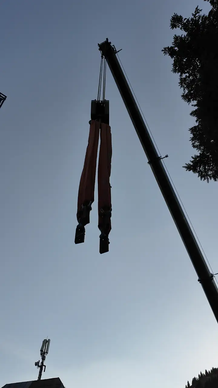 Baumpflanz-Challenge bei Brandl Transport-Logistik GmbH