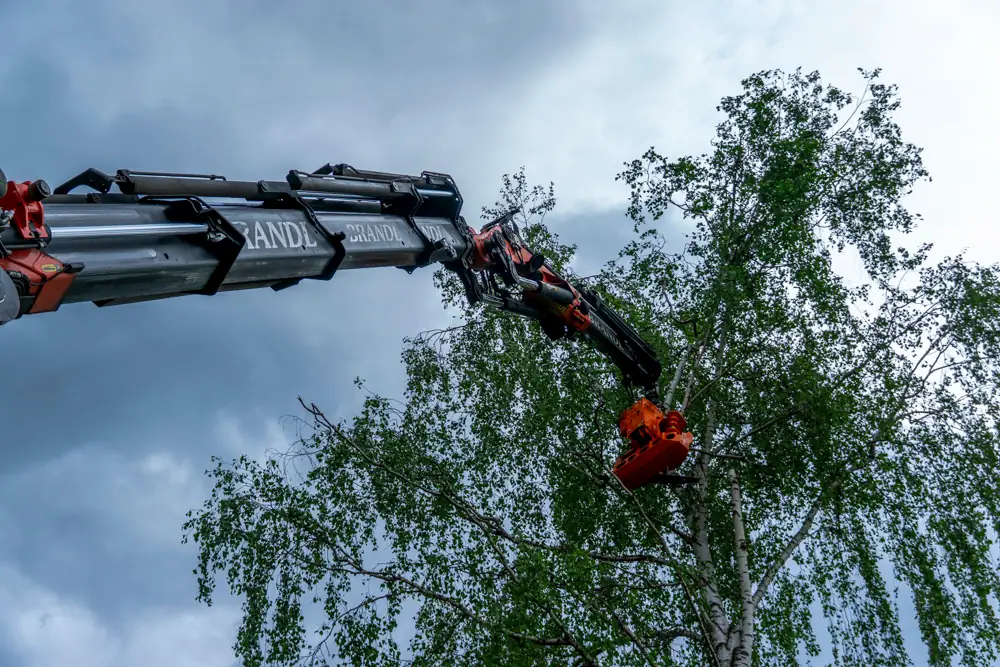 Wood Cracker bei Brandl Transport-Logistik GmbH