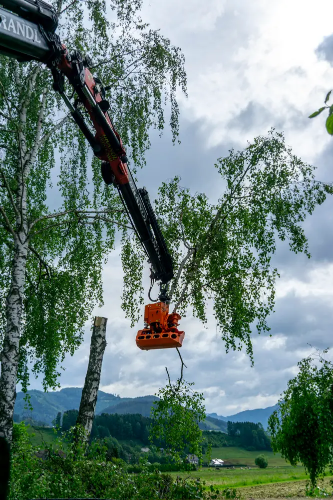 Wood Cracker bei Brandl Transport-Logistik GmbH