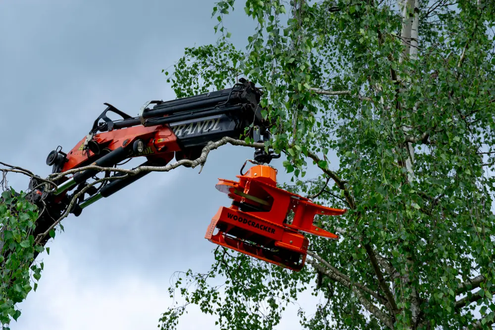 Wood Cracker bei Brandl Transport-Logistik GmbH