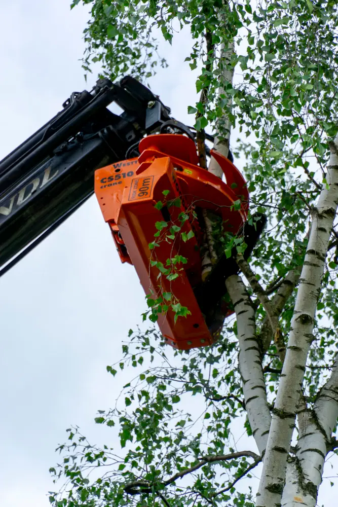 Wood Cracker bei Brandl Transport-Logistik GmbH
