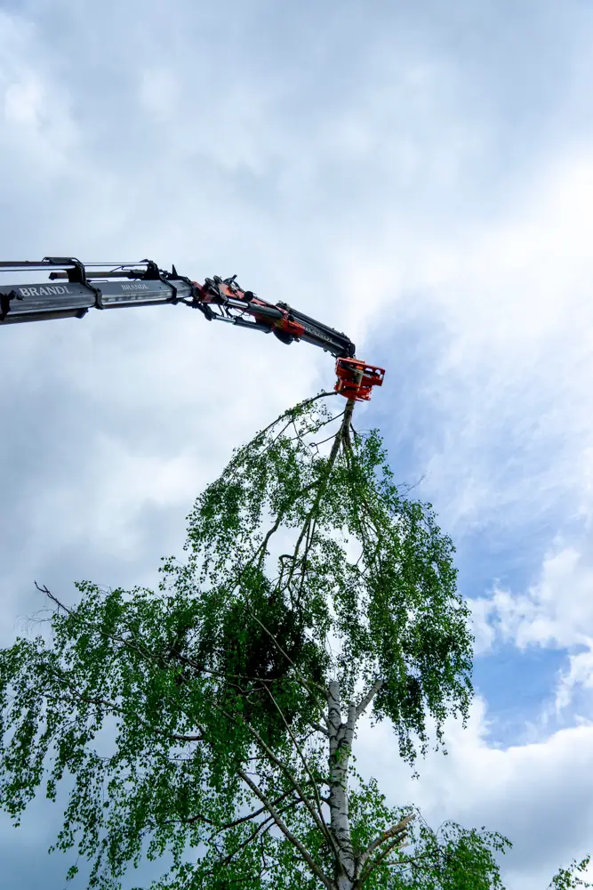 Wood Cracker bei Brandl Transport-Logistik GmbH