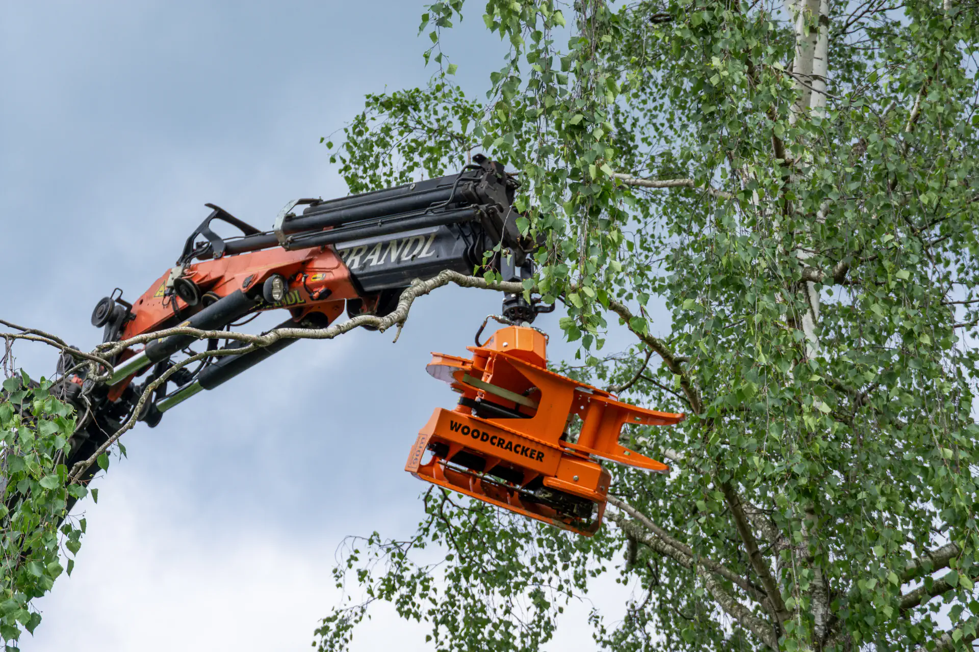 Wood Cracker bei Brandl Transport-Logistik GmbH